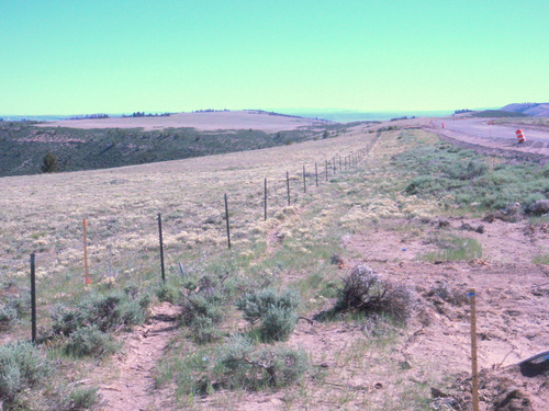 View north down the fence line and cone zone.